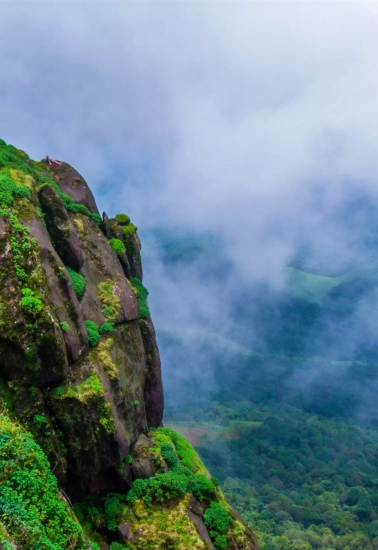 e7b0c445-dea9-4b42-8d6a-a7af88e032b0_Kurinjal+-+Bhajish+-+August+-+Indiahikes+-+Contribution+(8)